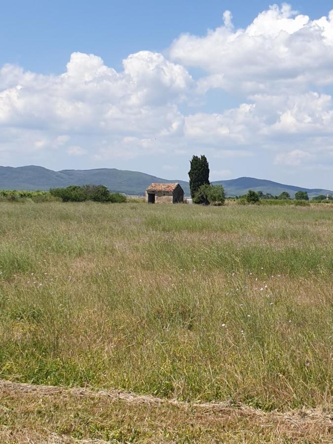 Villa La grange du Cade à Magalas Extérieur photo